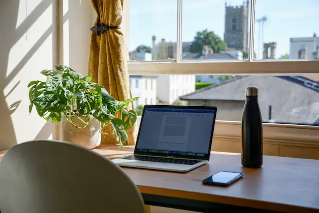 home office with plant and near sunlight